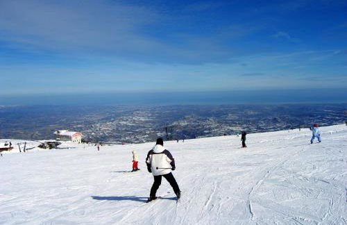 Il Canto degli Uccelli - Foto 43