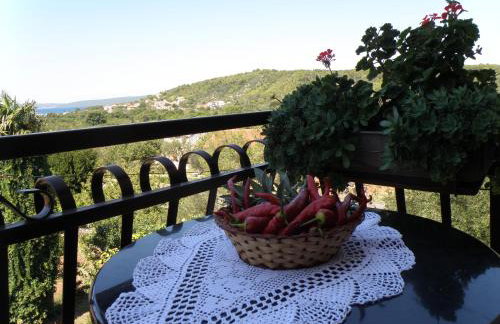 Apartments for families with children Pasman - 14788 - Foto 21