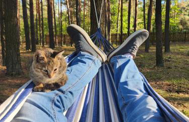 Leśna Osada Wieliszew - Foto 13