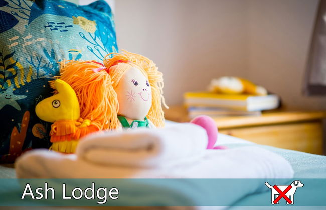 St. Tinney Farm - Photo 38