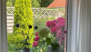 Warfkenidüll - Photo 2, Garden view
