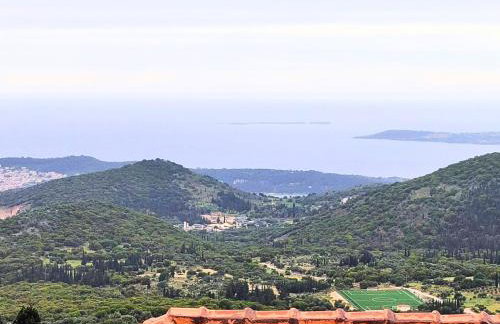 Fioravante - Foto 47