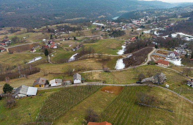 Vineyard cottage Cvitkovič - Foto 19