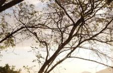 Loft Refugio na Serra-RJ - Photo 3