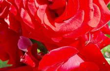 Ostoja Kamionki - Foto 24