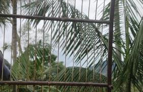 Pouso Carina Paraty - Foto 28