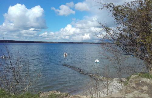 Apartments Sonne am Sund - Photo 54