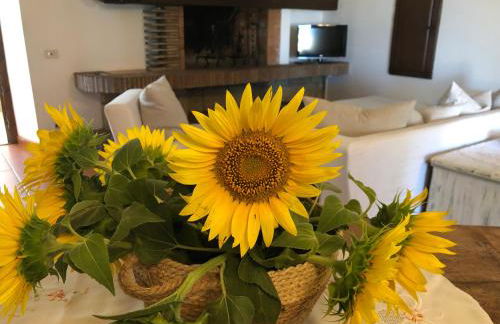 Il Palluccaro - Foto 13