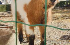 Casa Nikana - Photo 27