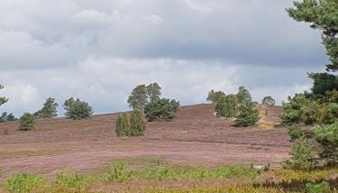 likehome apartments - Foto 5