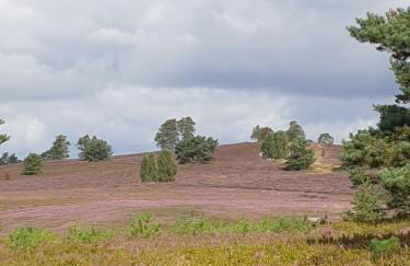 likehome apartments - Foto 5