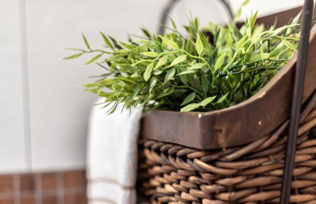 Monteborre - Foto 26