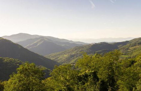 Villa With Pool In The Heart Of Chianti Rufina - Foto 25