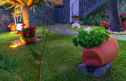 Zeza´s Garden - Photo 18