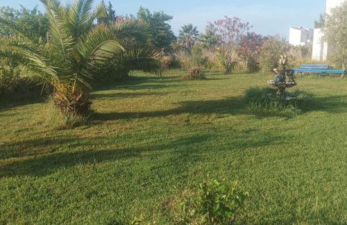 Greece-Kyllini am Strand ruhiges OG, Tierfreunde - Foto 10