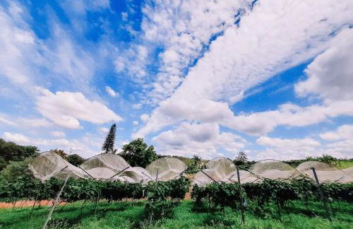Recanto das Videiras - Casa em Vinícola - Foto 117