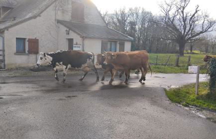 Gite 3 du Bas Coudreau - Foto 7