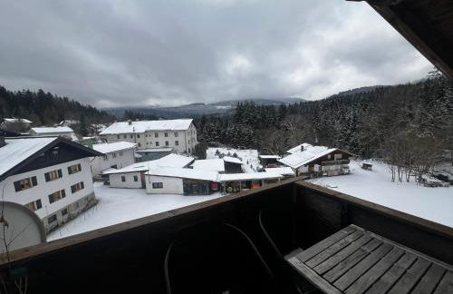 Family Apartment Šumava - Foto 15