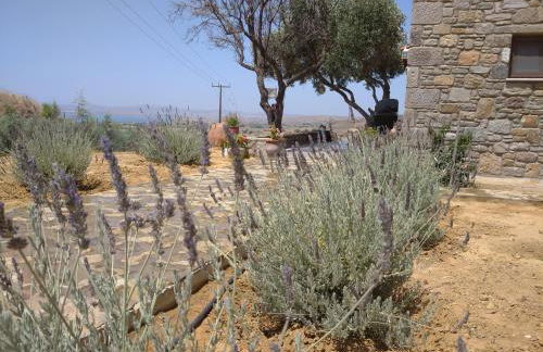 Paliokaliva Home - Foto 21