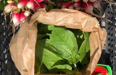 Gîte à la Ferme de Verdurette Cordes-sur-Ciel - Foto 35