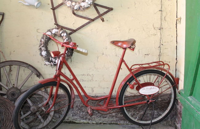 Apartment With Garden in Damgarten - Foto 22