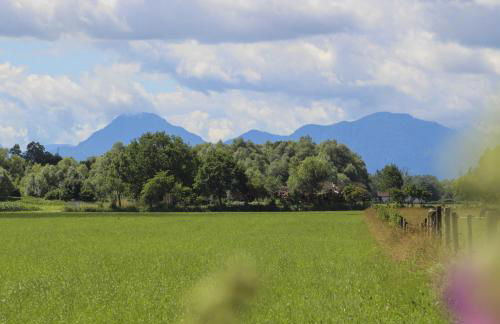 Springerhof - Foto 12