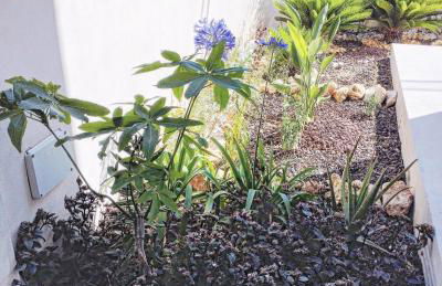 Ca Na Xisca - Foto 11