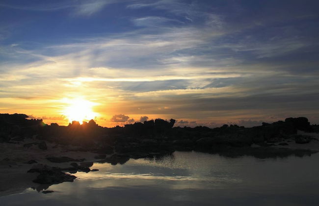 Bravo´s Apartment Cotillo 4 - Photo 18