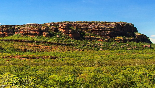 Explorador do Parque Nacional Kakadu – Tour de Dia Inteiro - Foto 2