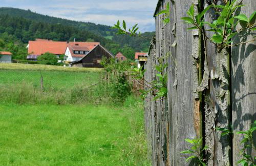 Apartment in the Hochsauerland region in a quiet location - Foto 105