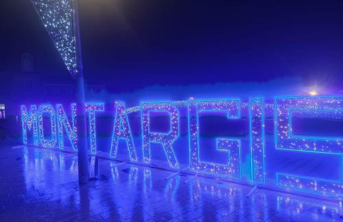 Escale Détente-Loft avec Terrasse- Parking Montargis - Photo 28