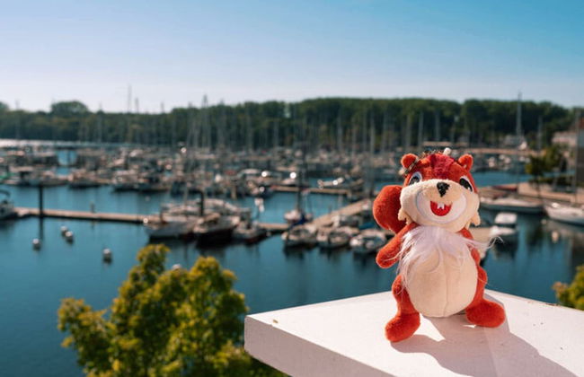 Beech Resort Boltenhagen - Photo 40