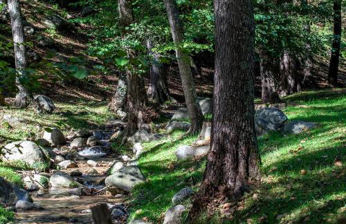 Masía El Moli de Can Aulet - Foto 40