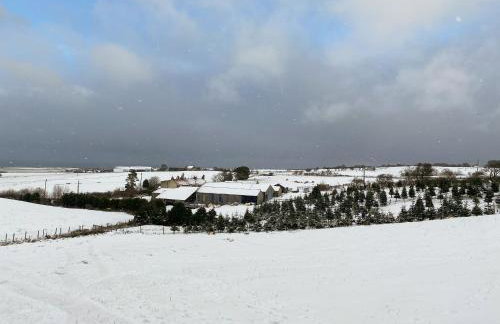 Cart Shed - Uk41245 - Foto 18