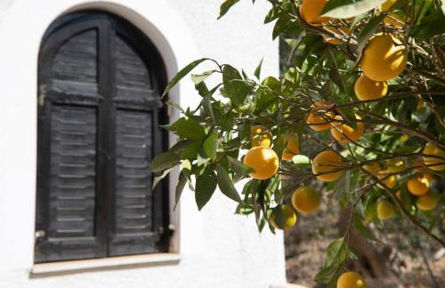 White House Mochlos - Foto 21