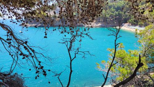 Villetta Roberto Le Macine di Charme - Pugnochiuso Resort - Foto 2