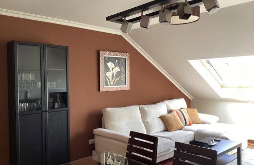 Rego de Flores - Foto 22