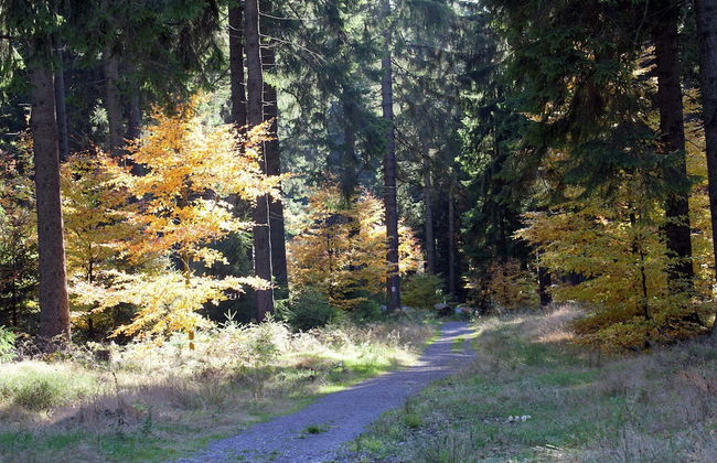 Cozy Apartment Near Trails - Foto 29