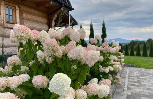 Chata Gilowicka - Beskid Żywiecki - Foto 33