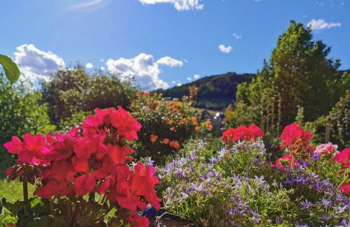 Ferienwohnung an den Grundwiesen - Foto 37