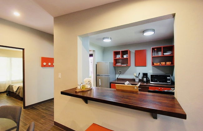 Relaxing Sound of River Birds Squirrels - Foto 17