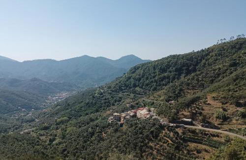 CASA LORENZO SULLE COLLINE DI LEVANTO e VICINO ALLE CINQUETERRE LT-0620 - Foto 1
