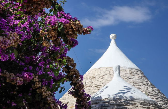 Trullo Madia with Shared Hot Tub in Nature - Foto 66