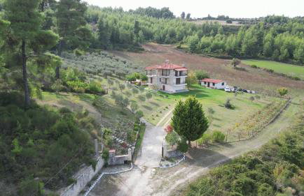 Κτήμα Verde - Foto 1