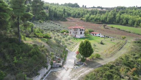 Κτήμα Verde - Foto 1