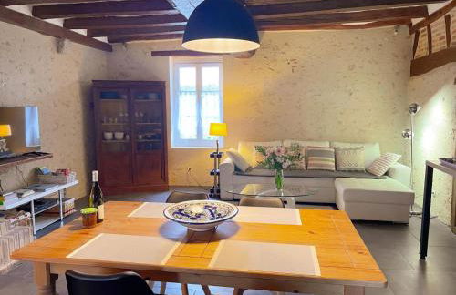 Gîte tout confort avec grand jardin, cheminée, clim et WIFI, proche châteaux de la Loire et ZooParc de Beauval - FR-1-491-400 - Photo 1