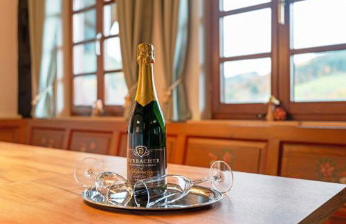 Ferienwohnungen Höflehof - Foto 49