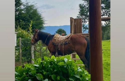 POUSADA FAZENDA PAIM - Foto 61