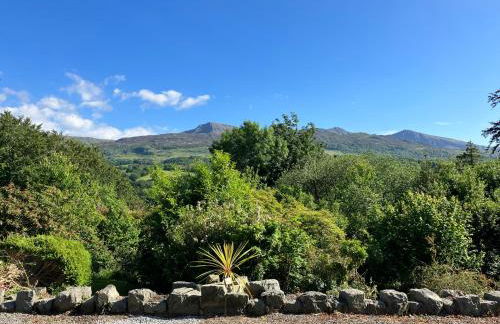 Large Corris apartment with kitchen & lounge and adjoining bathroom - Foto 6