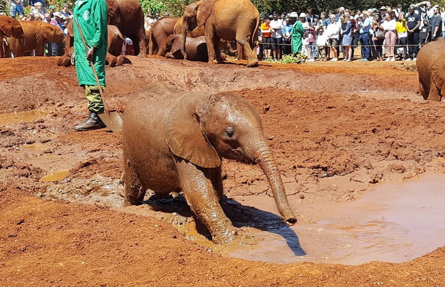 Achill Houses - Foto 58